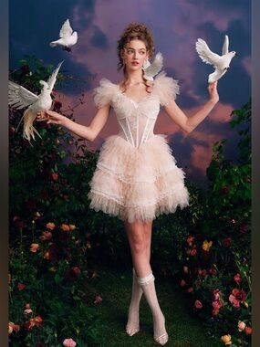 Lacemade Befalling Of Wings Corset Mini Dress Size Medium